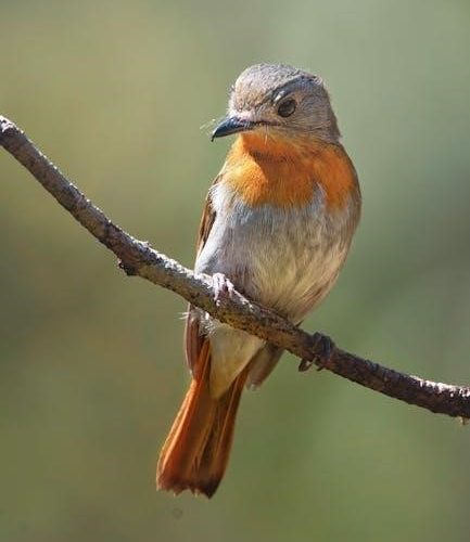 bird guide jack griggs pdf