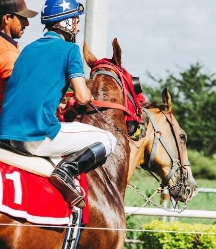 jockey bra size guide