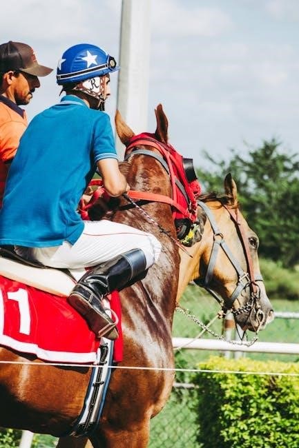 jockey bra size guide