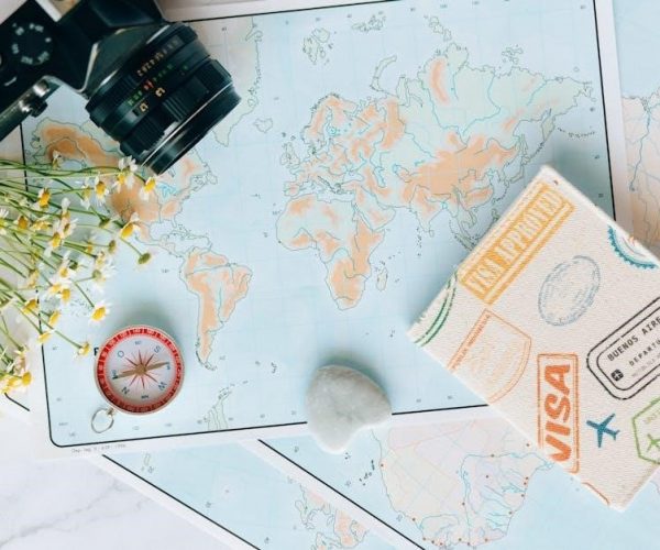 a botanist’s guide to parties and poisons