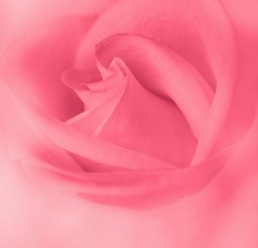 costanzo physiology pdf