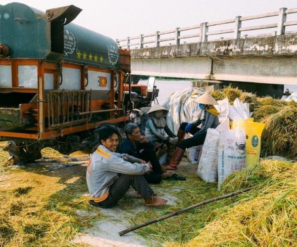 green life rice cooker manual